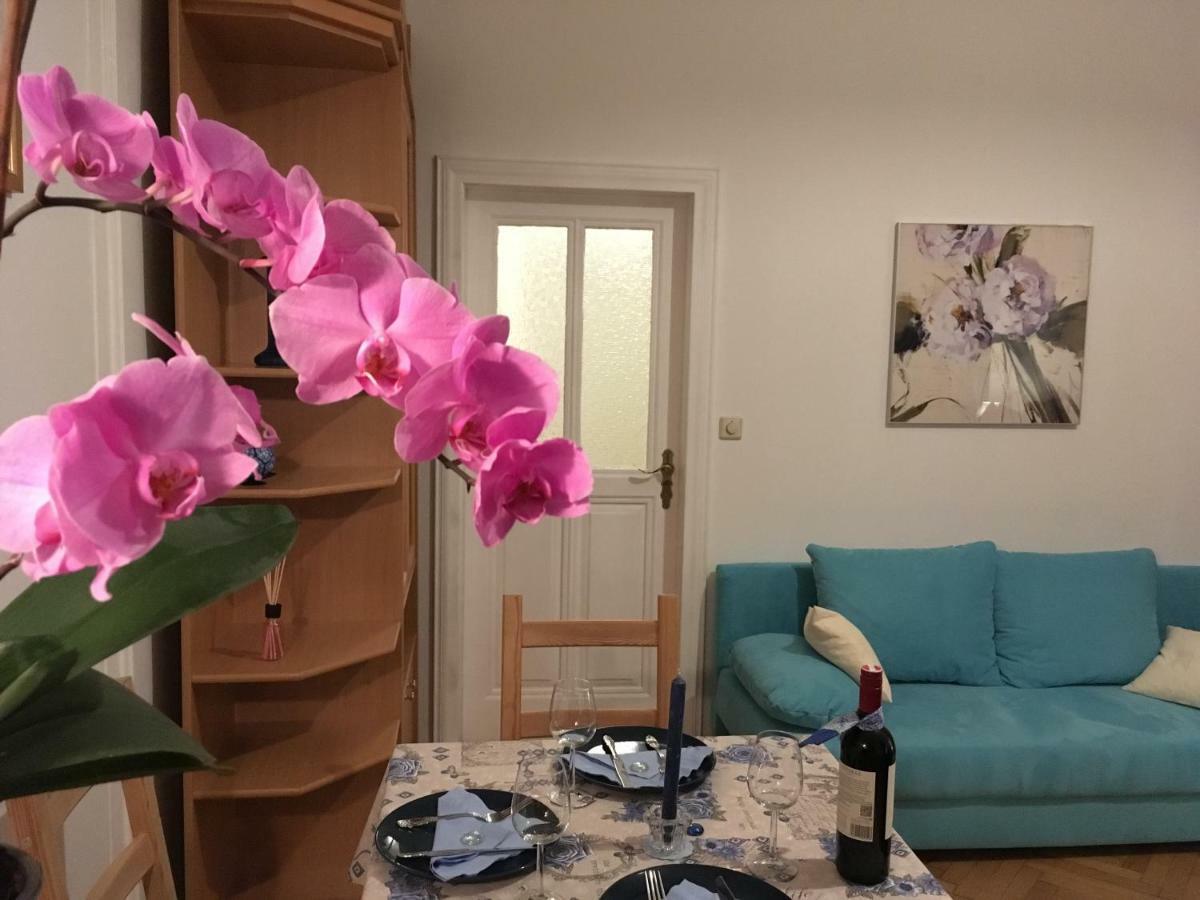 Apartament 55